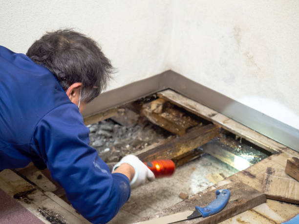 Best Office Mold Removal Services  in Sylvan Springs, AL