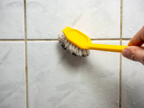 Home Mold Removal in Sylvan Springs, AL