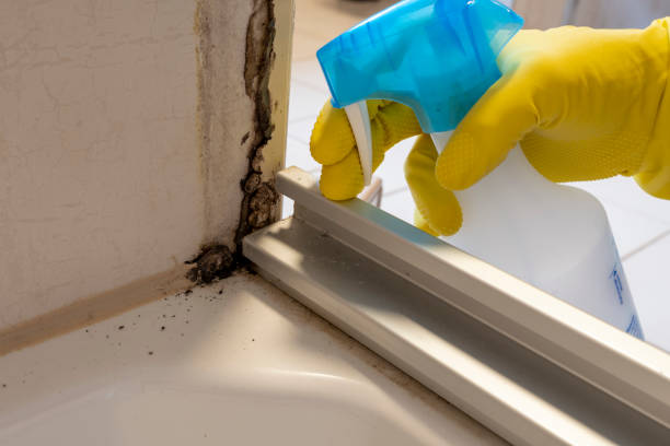 Best Commercial Mold Removal  in Sylvan Springs, AL
