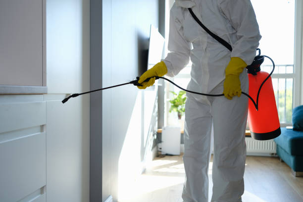 Best Commercial Mold Removal  in Sylvan Springs, AL