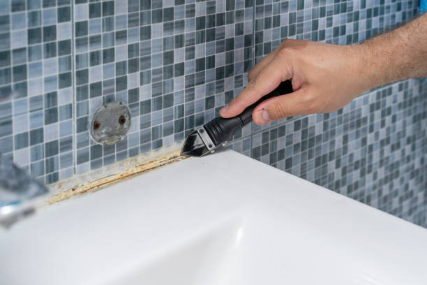 Best Professional Mold Removal  in Sylvan Springs, AL
