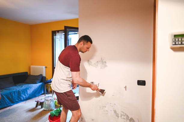 Best Residential Mold Removal  in Sylvan Springs, AL