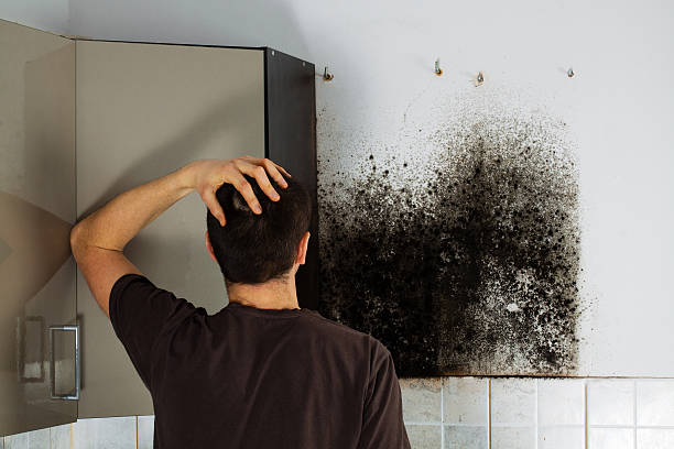 Best Fast Mold Removal  in Sylvan Springs, AL
