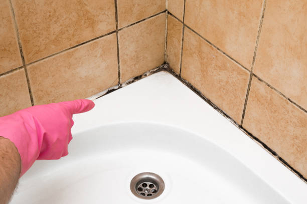 Best Mold Removal Process  in Sylvan Springs, AL